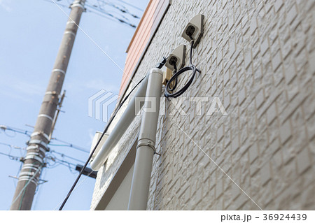 snapshot snapshot 36924439