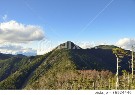 甲武信ヶ岳 36924446