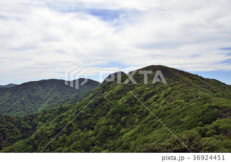 天城山（万三郎岳） 36924451