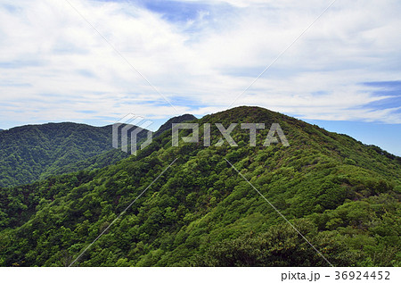 天城山(万三郎岳) 天城山(万三郎岳) 36924452