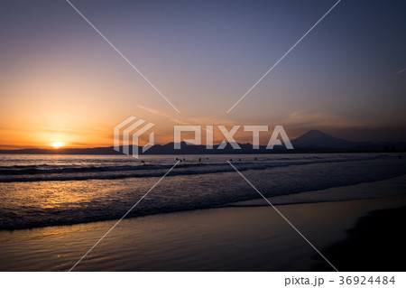 鵠沼海岸　富士山　夕陽　サーファー 36924484
