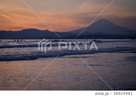 鵠沼海岸 富士山 夕陽 サーファー 鵠沼海岸 富士山 夕陽 サーファー 36924491