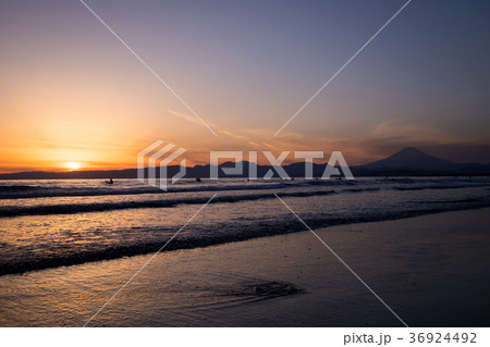 鵠沼海岸 富士山 夕陽 サーファー 鵠沼海岸 富士山 夕陽 サーファー 36924492