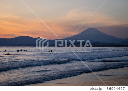 鵠沼海岸　富士山　夕陽　サーファー 36924497