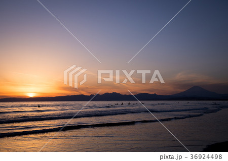 鵠沼海岸 富士山 夕陽 サーファー 鵠沼海岸 富士山 夕陽 サーファー 36924498