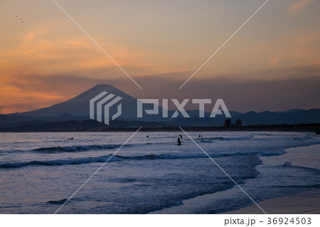 鵠沼海岸 富士山 夕陽 サーファー 鵠沼海岸 富士山 夕陽 サーファー 36924503