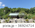 宗佐厄除八幡神社　青空と拝殿 36924714