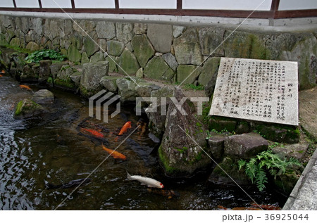 飛騨古川の瀬戸川 36925044
