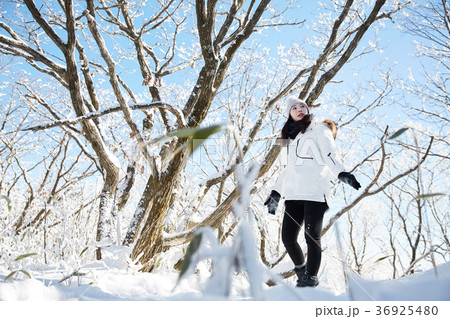 徳裕山 雪景色 屋外 36925480