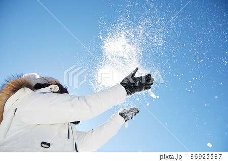 冬 徳裕山 屋外 36925537