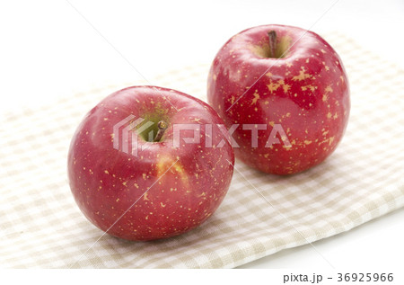 りんご（サンふじ） 36925966