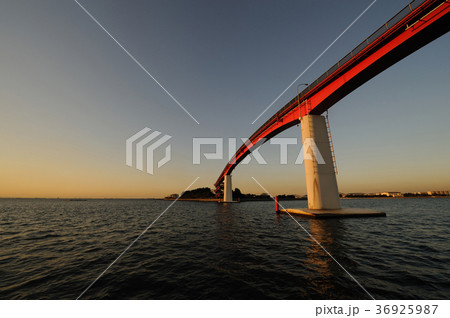 夕暮れの中ノ島大橋　千葉県木更津市 36925987