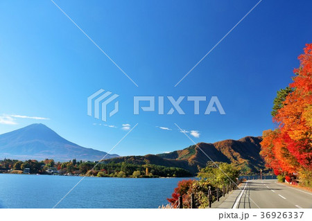 山梨県　河口湖　湖北ビューラインの秋 36926337