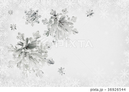 Snow-covered pine branches and snowflakes Snow-covered pine branches and snowflakes 36926544
