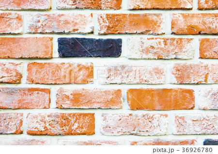 レンガ壁面 36926780