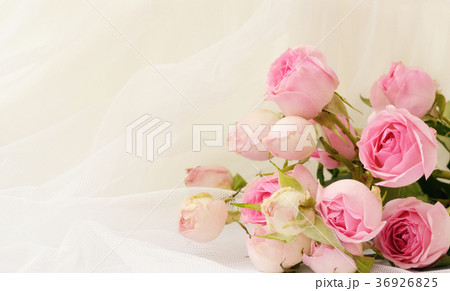 Rose flowers on white folded tulle 36926825