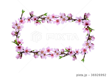 Spring peach twigs frame 36926992