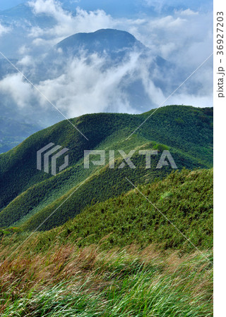 台湾 陽明山 うんかい 36927203