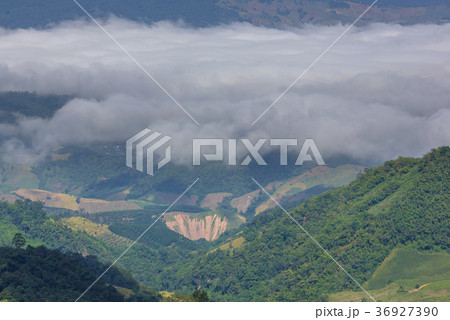 The Mist and Fog  in Chiangrai Thailand 36927390