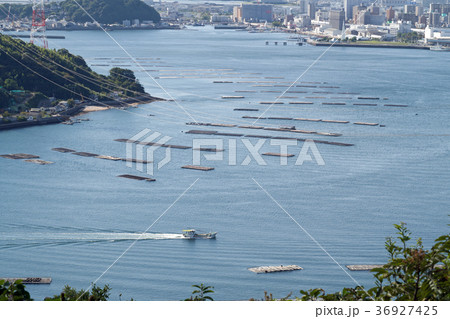 坂町からの広島湾の景色 36927425