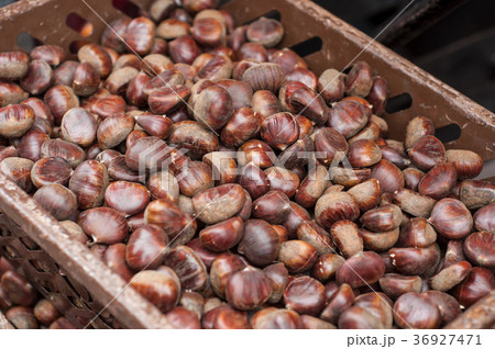 closeup of chestnuts at the market 36927471