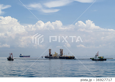 沖合のシーバースと警戒する船 36927717