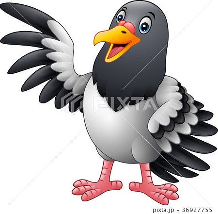Cartoon funny Pigeon bird presenting 36927755