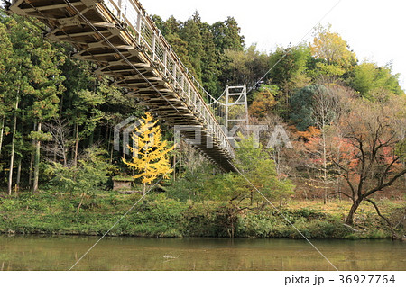 道の駅からりの吊り橋 36927764
