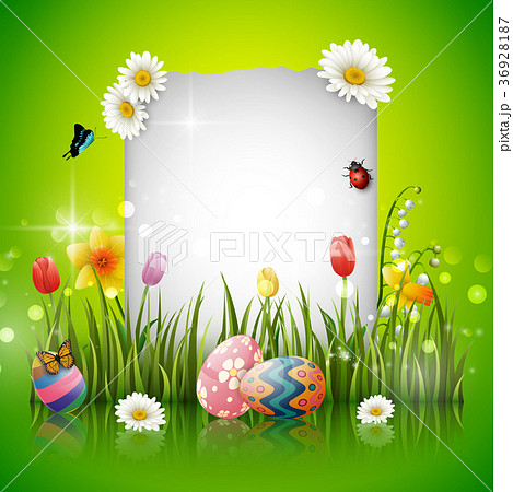 Easter eggs with blank sign Easter eggs with blank sign 36928187