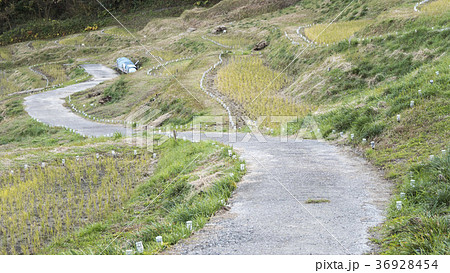 下る農道 下る農道 36928454