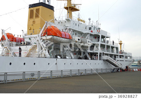 名古屋港の練習船の一般公開 36928827