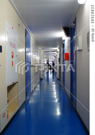練習船の船内通路 練習船の船内通路 36928835