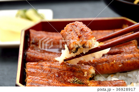 うなぎ・和食・うな重 36928917