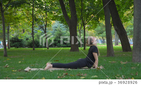 The young beautiful girl engaged in yoga 36928926