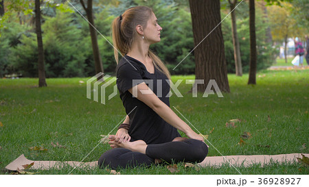 The young beautiful girl engaged in yoga The young beautiful girl engaged in yoga 36928927