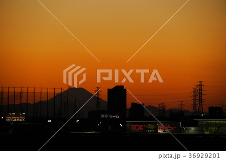 千葉ニュータウンから見た富士山 富士山夕景 印西牧の原 千葉ニュータウンから見た富士山 富士山夕景 印西牧の原 36929201