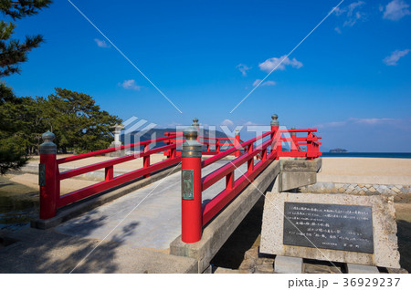 津田の松原(香川県、海水浴場) 津田の松原(香川県、海水浴場) 36929237