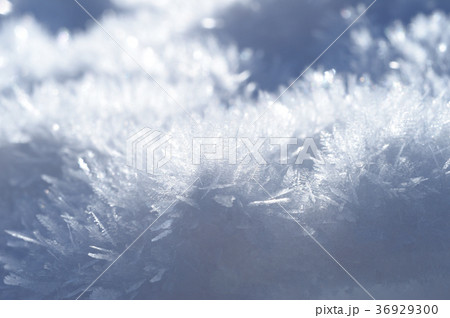 雪の結晶 冬 雪 雪の結晶 冬 雪 36929300