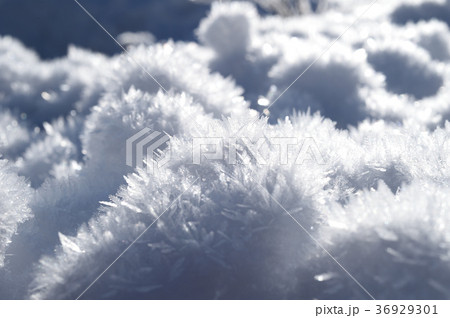 雪の結晶 冬 雪 雪の結晶 冬 雪 36929301