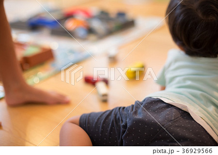 3 years old　&　8 years old 36929566