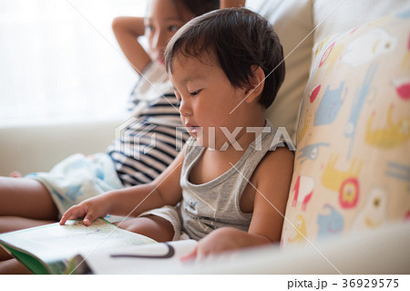 3 years old　&　8 years old 36929575