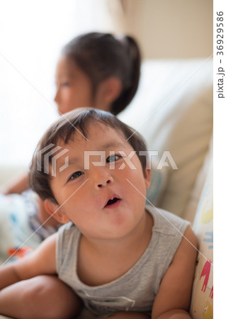 3 years old　&　8 years old 36929586