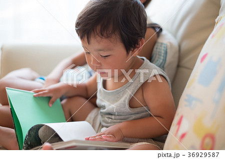 3 years old　&　8 years old 36929587