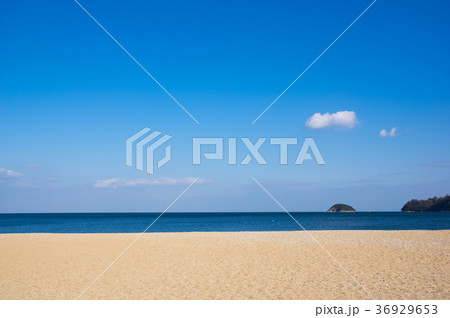 津田の松原(香川県、海水浴場) 36929653