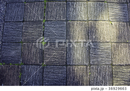 跡 舗道 屋外 36929663