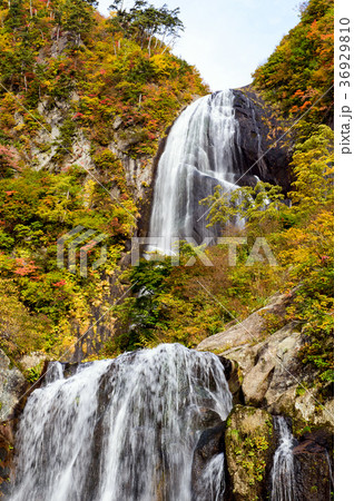 安の滝 秋田県 安の滝 秋田県 36929810