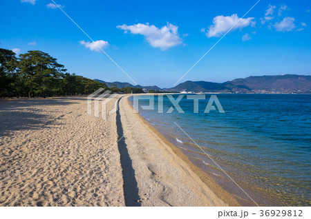 津田の松原(香川県、海水浴場) 36929812