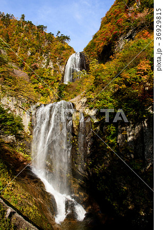 安の滝夕景　秋田県 36929815