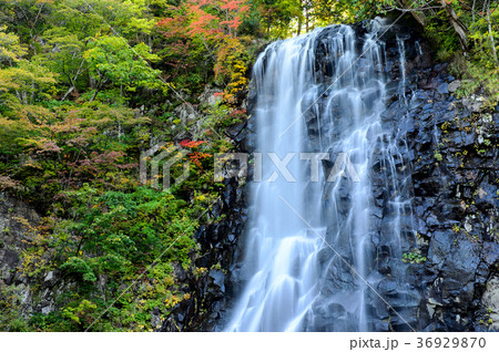 立又渓谷　一の滝　秋田県 36929870