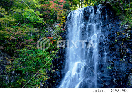 立又渓谷　一の滝　秋田県 36929900